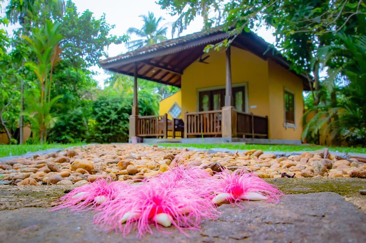 Birds Paradise Cabanas Unawatuna Zewnętrze zdjęcie