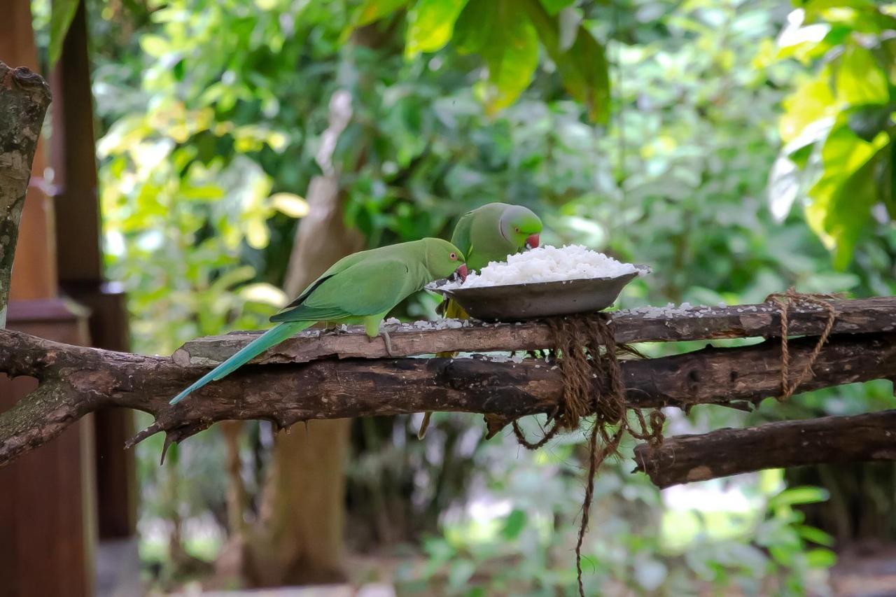 Birds Paradise Cabanas Unawatuna Zewnętrze zdjęcie
