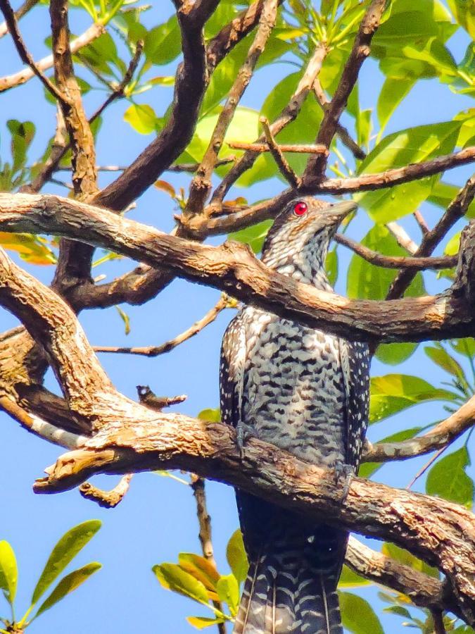 Birds Paradise Cabanas Unawatuna Zewnętrze zdjęcie