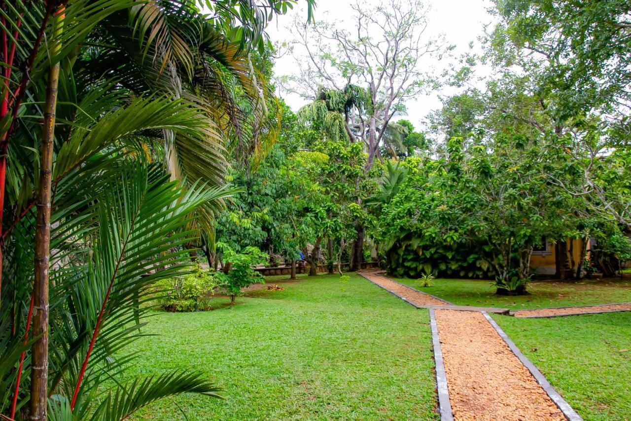 Birds Paradise Cabanas Unawatuna Zewnętrze zdjęcie